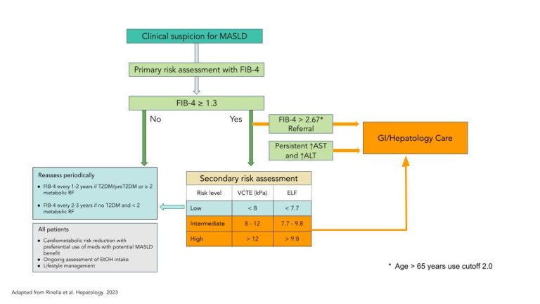 Masld Fib 4 Chronic Liver Disease Rates are Rising Alongside Obesity and Diabetes ...