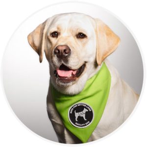 Headshot of Ruby, a therapy dog for The Oregon Clinic Broadway Medical pediatrics